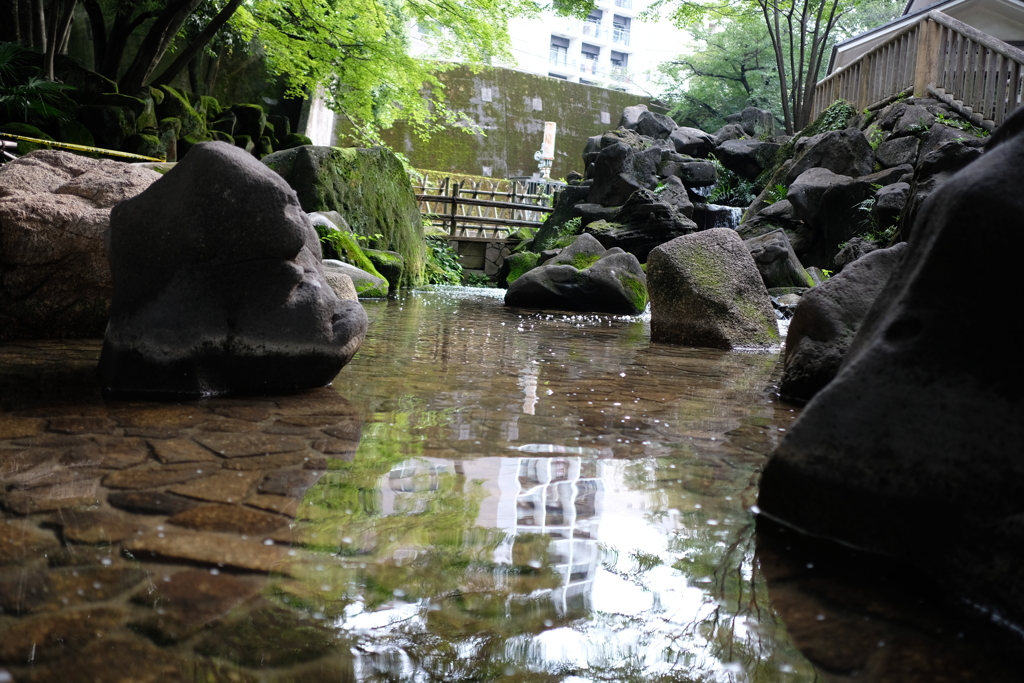 みずのあるけしき