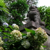 紫陽花と狛犬
