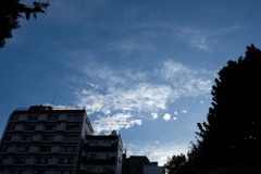 はじめてのそら