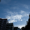 はじめてのそら