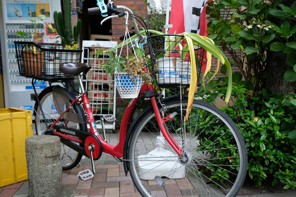 じてんしゃ