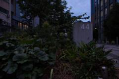 44