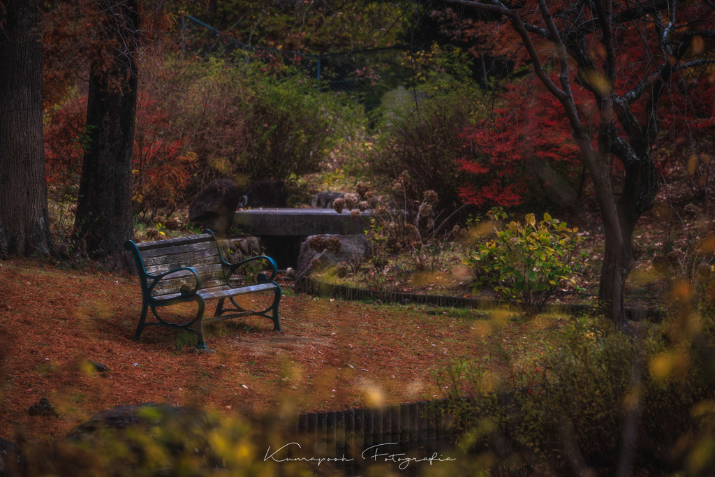 服部緑地都市緑化植物園