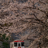 樽見鉄道　谷汲駅