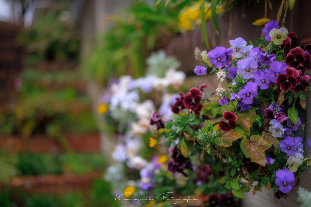 服部緑地都市緑化植物園