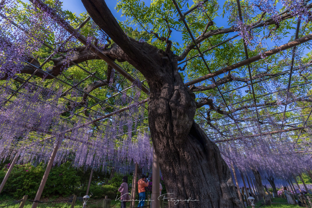 曼荼羅寺公園 #1