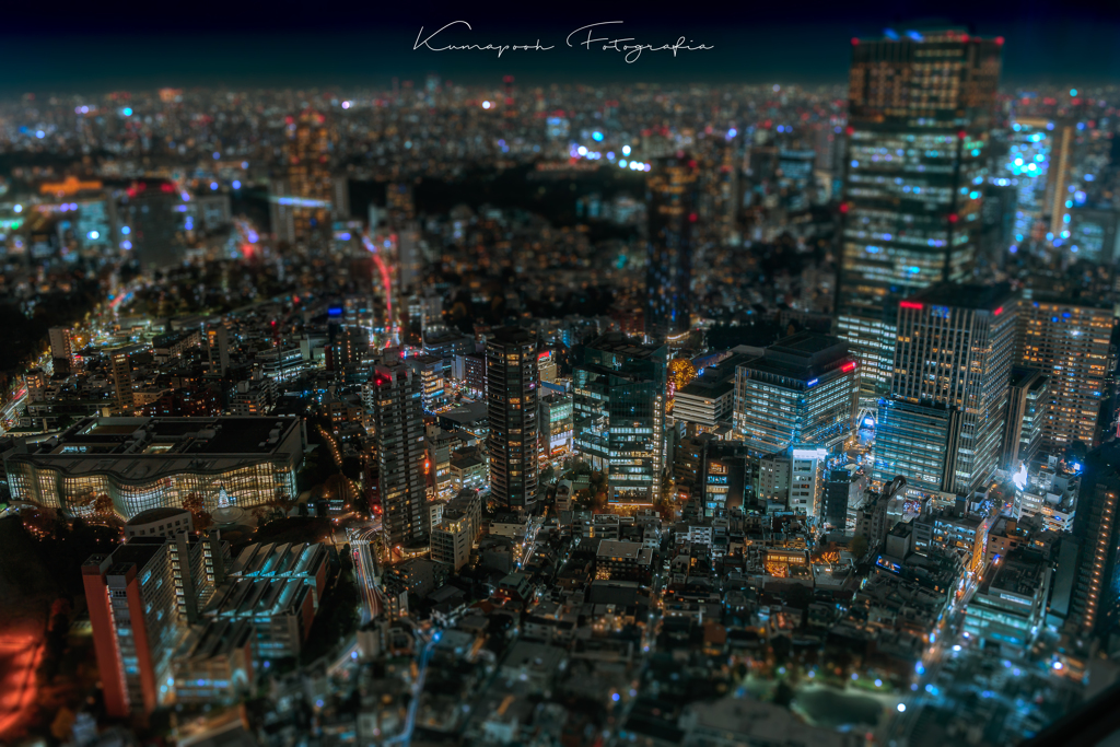 Tokyo miniature city