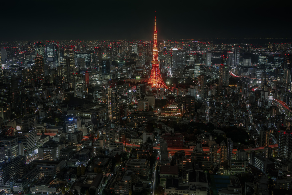 Tokyo Tower #1