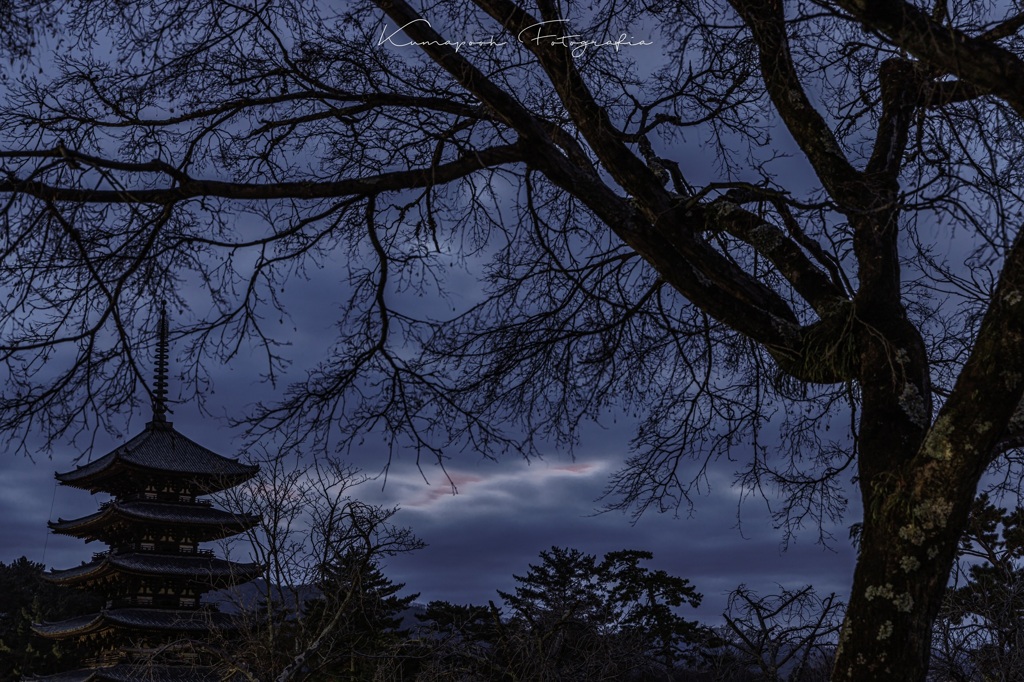 興福寺
