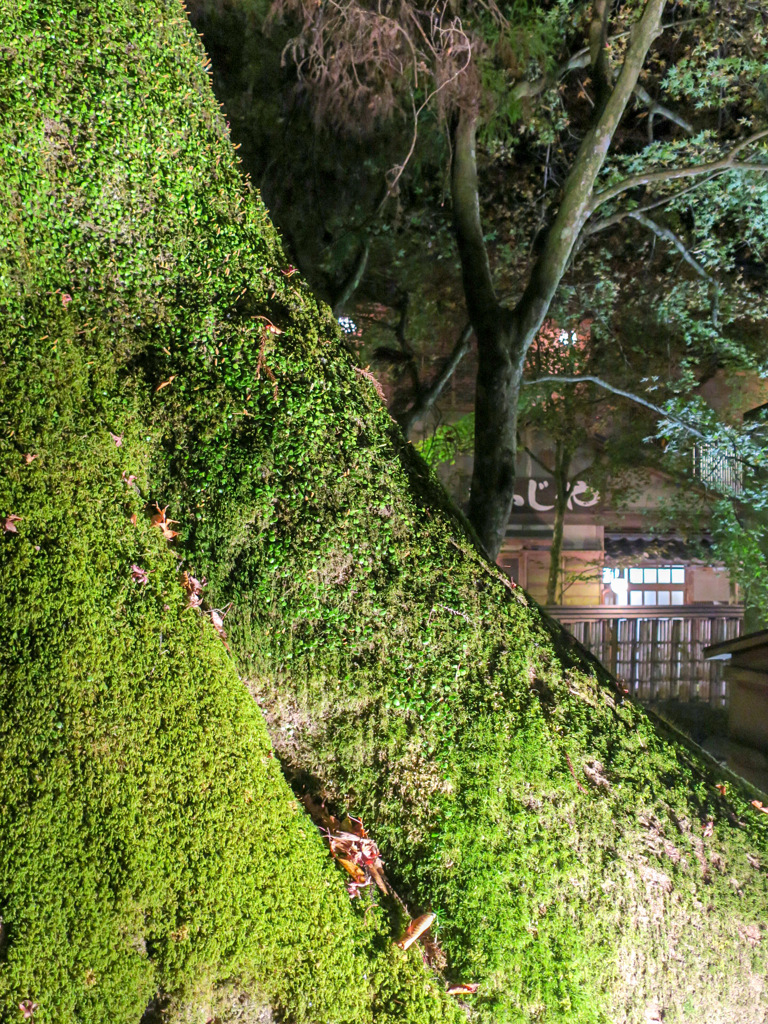 京都　貴船神社