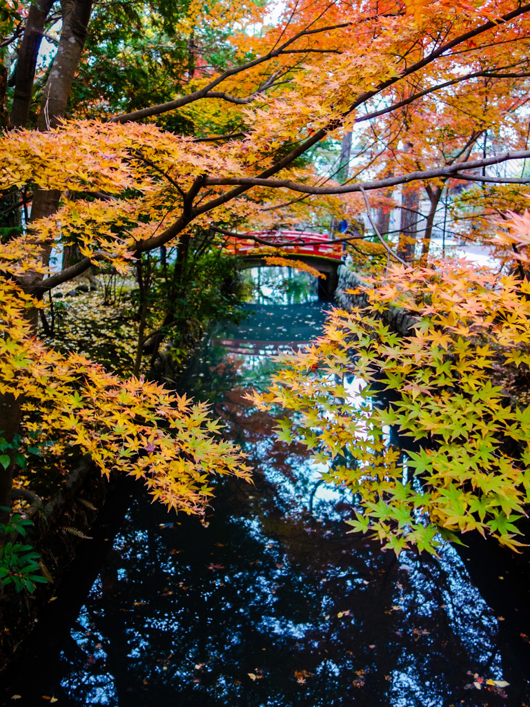 鎌倉　鶴岡八幡宮