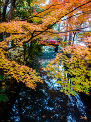 鎌倉　鶴岡八幡宮