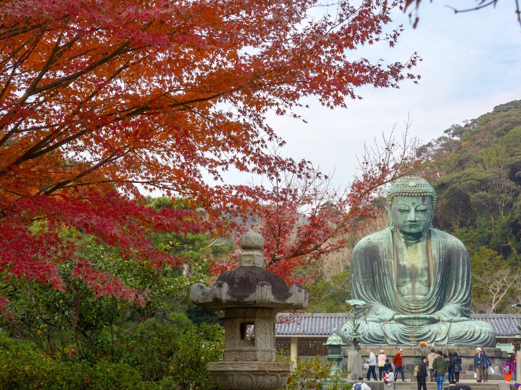 鎌倉大仏殿高徳院