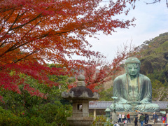 鎌倉大仏殿高徳院