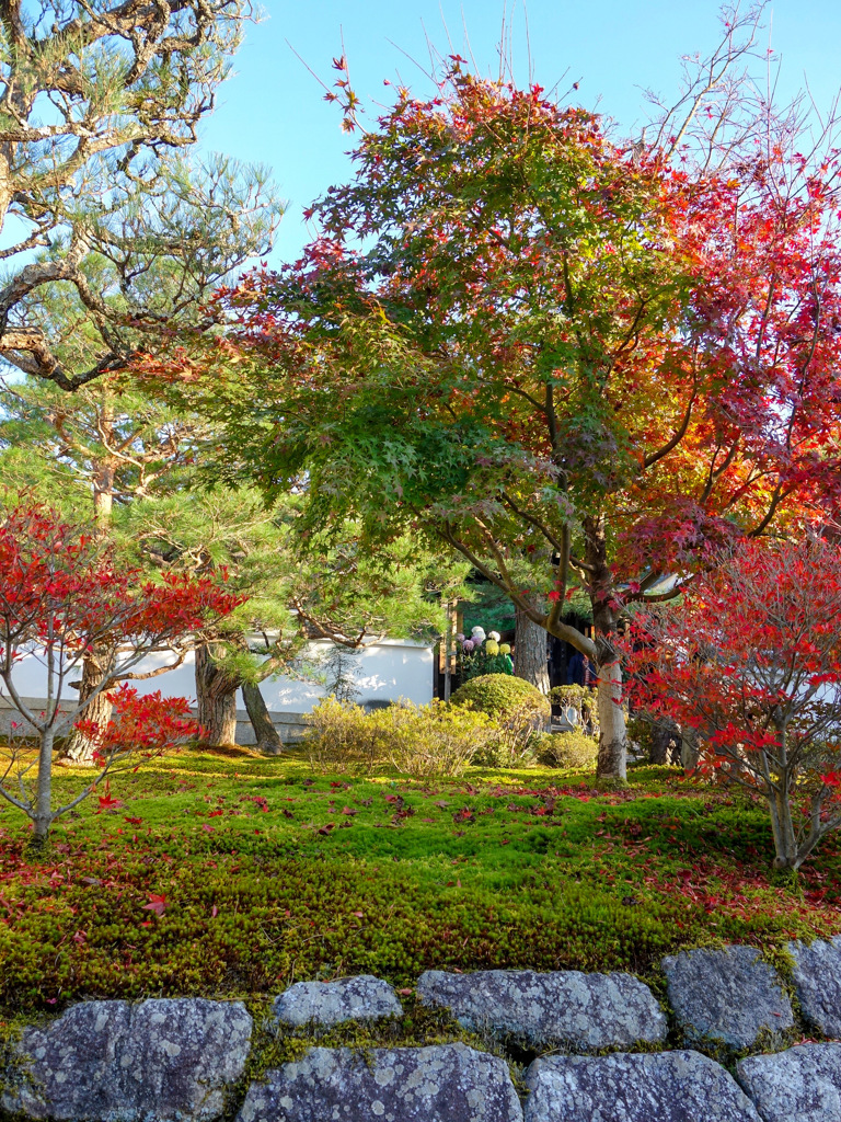 京都　圓光寺