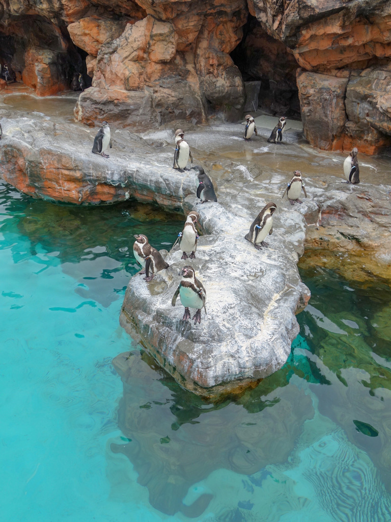 大洗水族館