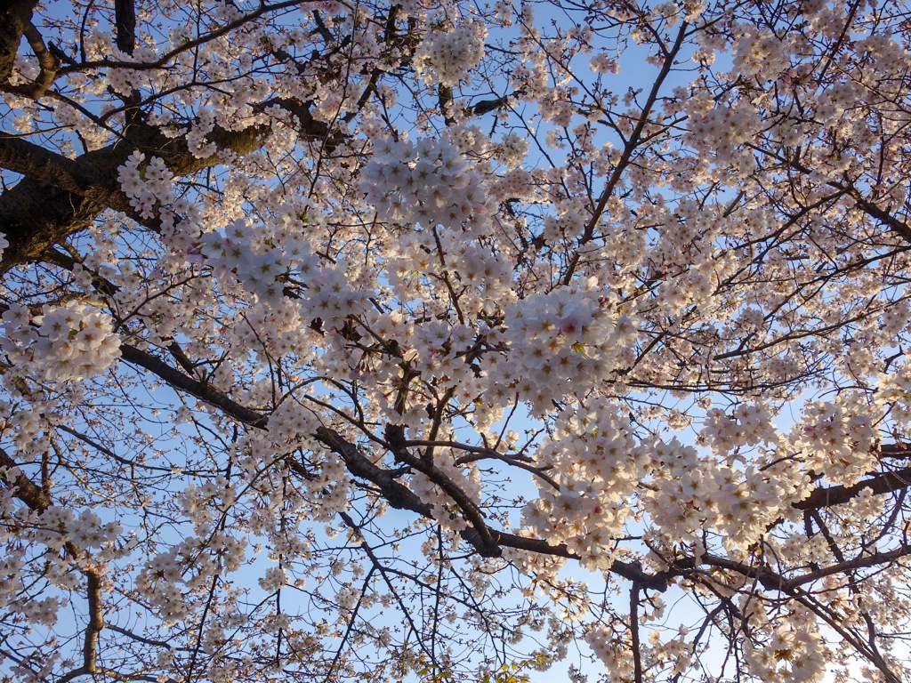 世田谷区北烏山
