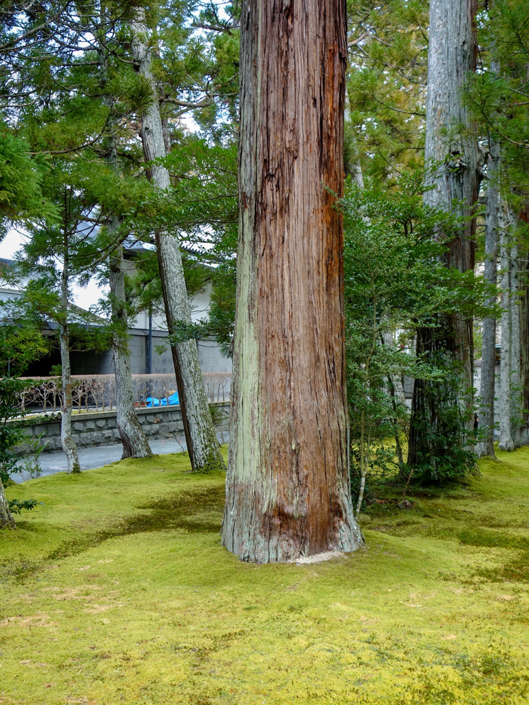 松島　瑞巌寺