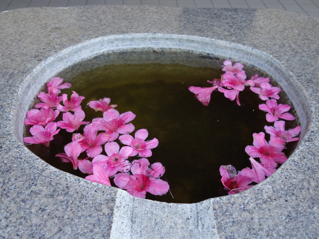 小諸　懐古園