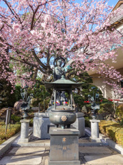 川口　蜜蔵院