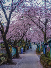 川口　蜜蔵院