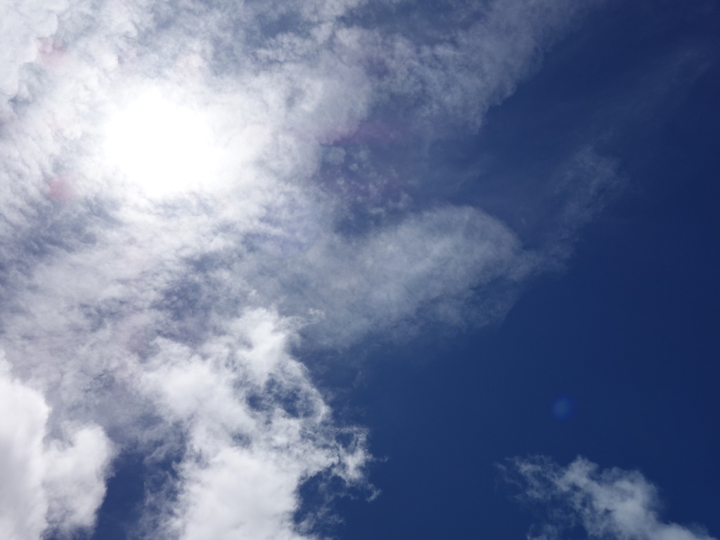 日光霧降高原 大笹牧場