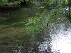 奥日光　湯ノ湖