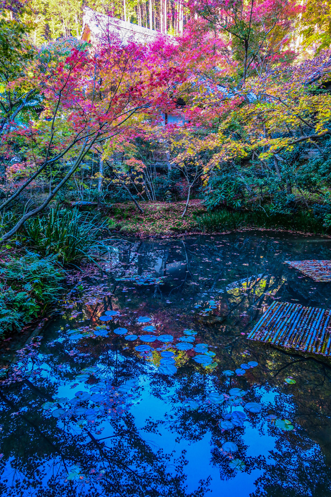 京都　圓光寺