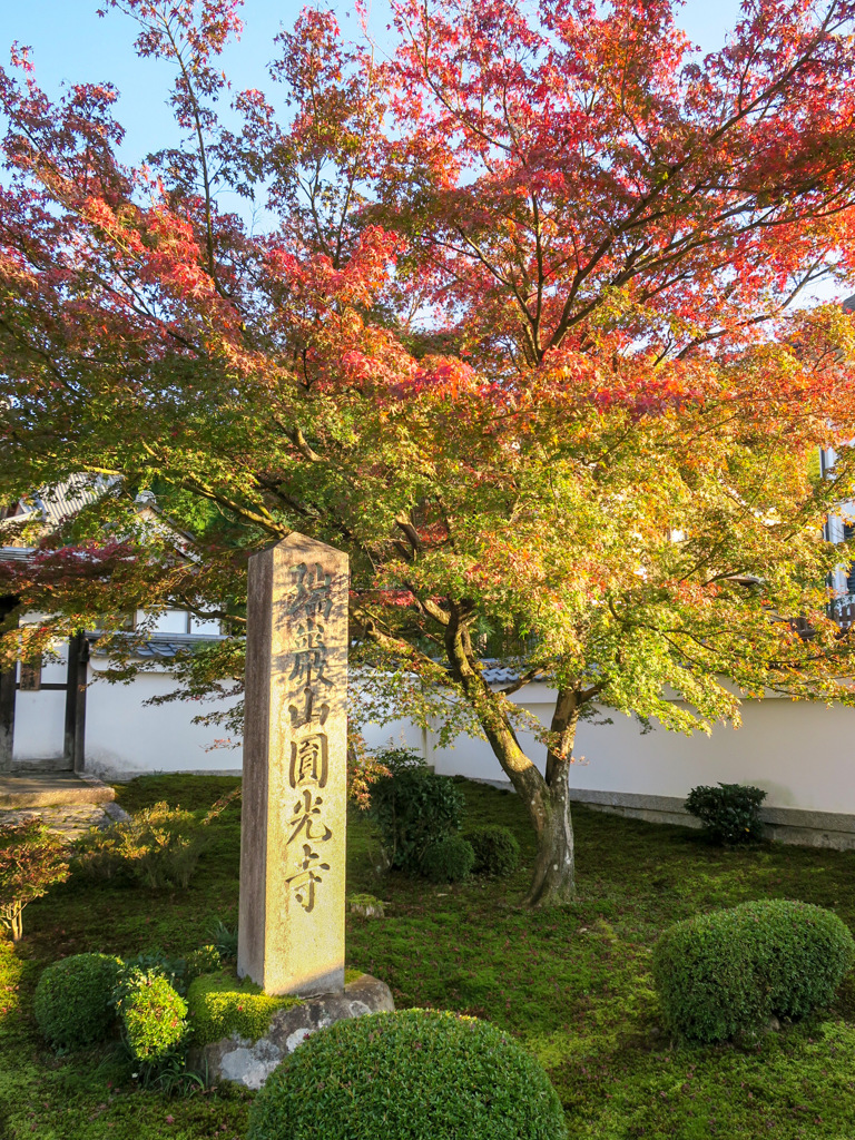 京都　圓光寺