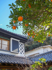 下田　旧澤村邸