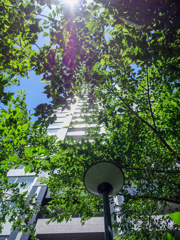 銀座　安平神社