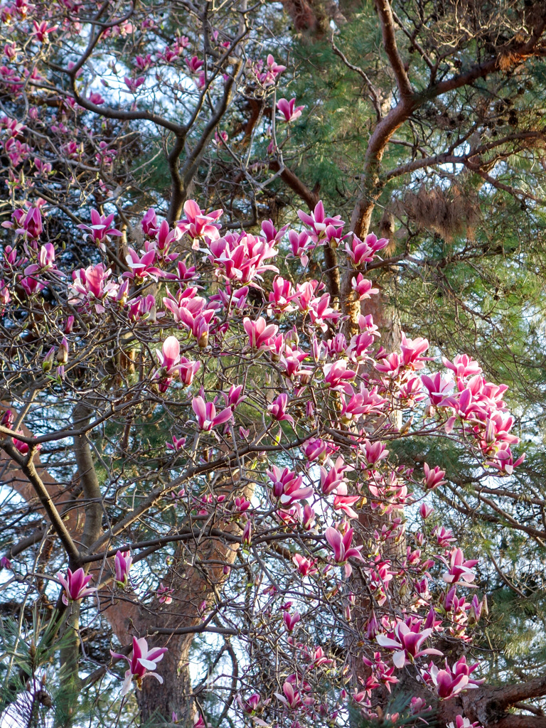 世田谷区北烏山