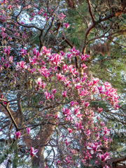世田谷区北烏山