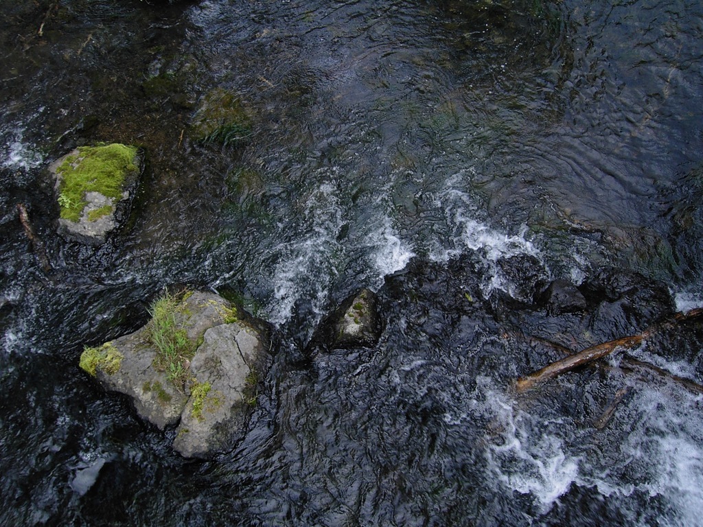 奥日光　湯ノ湖