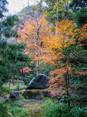 鎌倉　鶴岡八幡宮