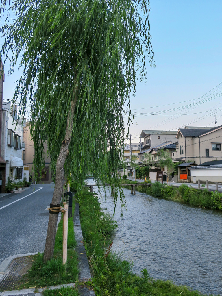 京都　白川一本橋