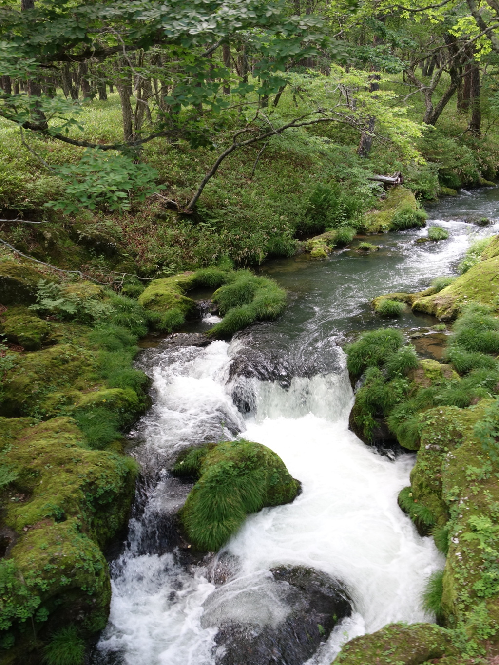 奥日光　戦場ヶ原