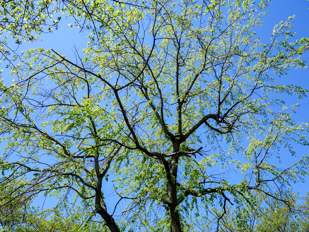 春日部　藤塚三本木公園