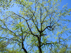 春日部　藤塚三本木公園