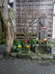 鎌倉　極楽寺