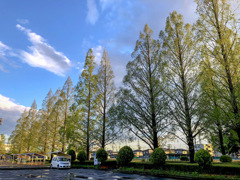 春日部　大沼公園