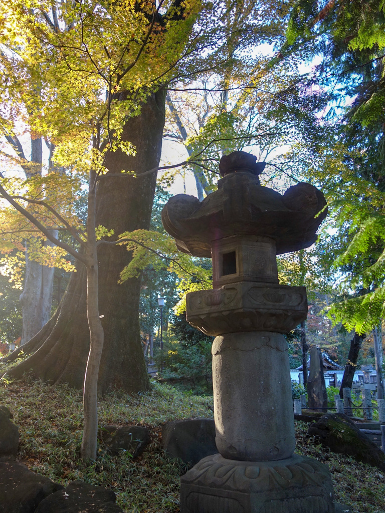 川越　喜多院