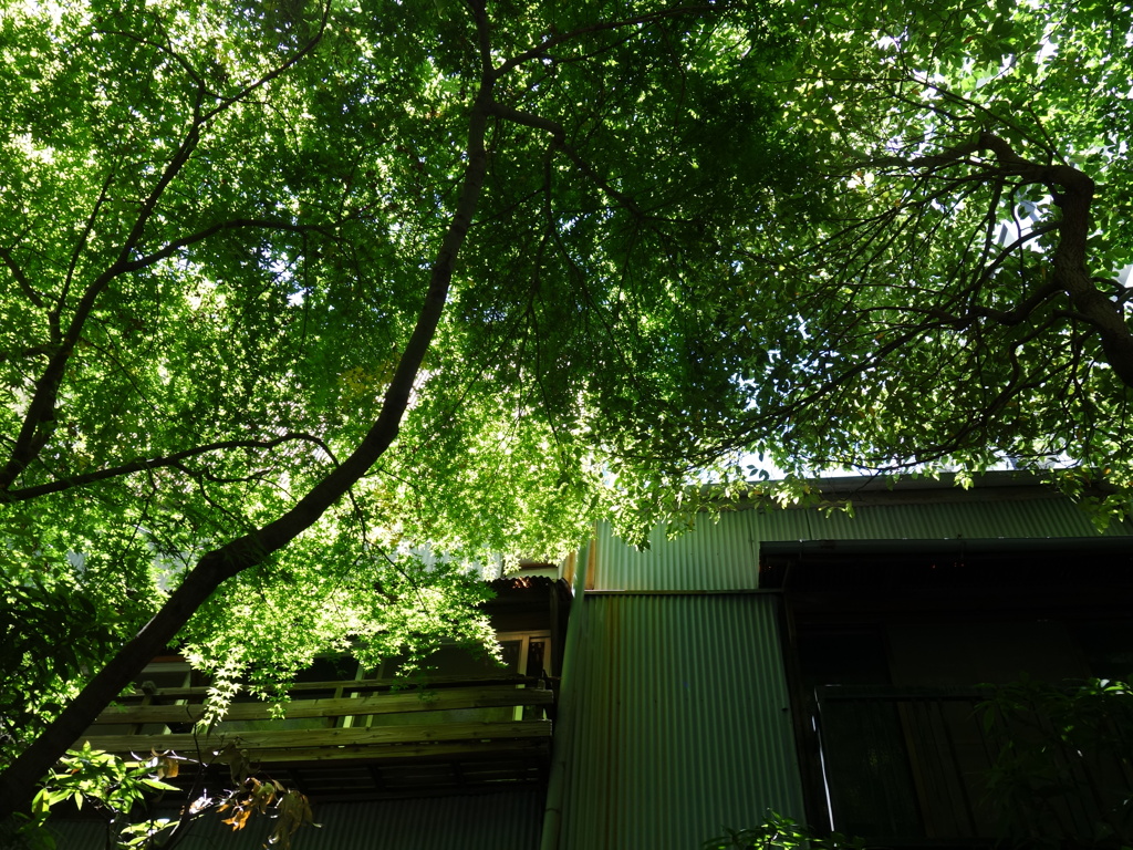 銀座　安平神社