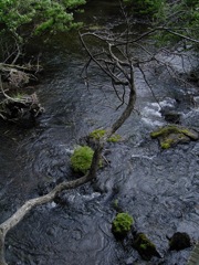 奥日光　湯ノ湖