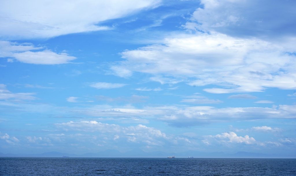 海は広いな