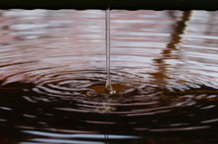 水ぬるむ春