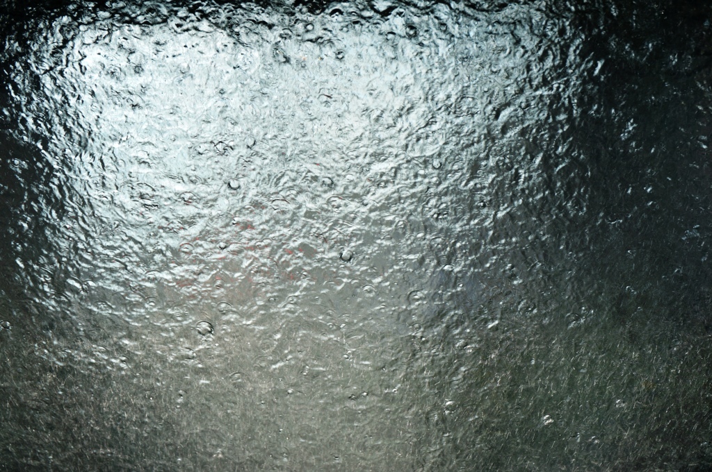 お魚になったわたし