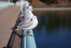 ん？