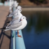 ん？