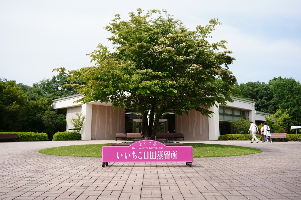 いいちこ